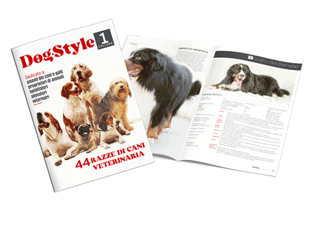 DOG·STYLE magazine ❤️ la nuovissima rivista dedicata a cani e gatti