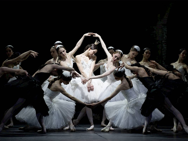Grande Spettacolo ❤️ al Teatro dell'Opera di Zurigo: balletto e danza classica